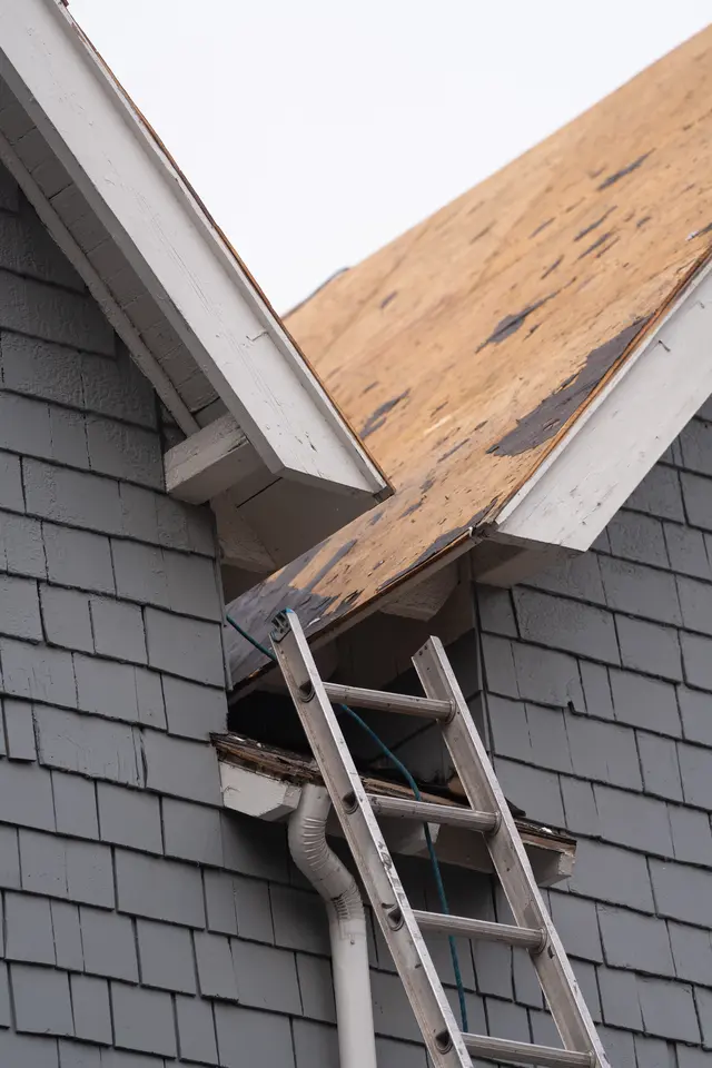 What Is Roof Sheathing? (Types, Installation & More)