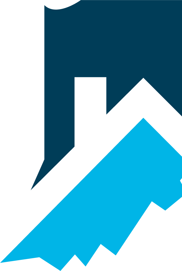 large logo