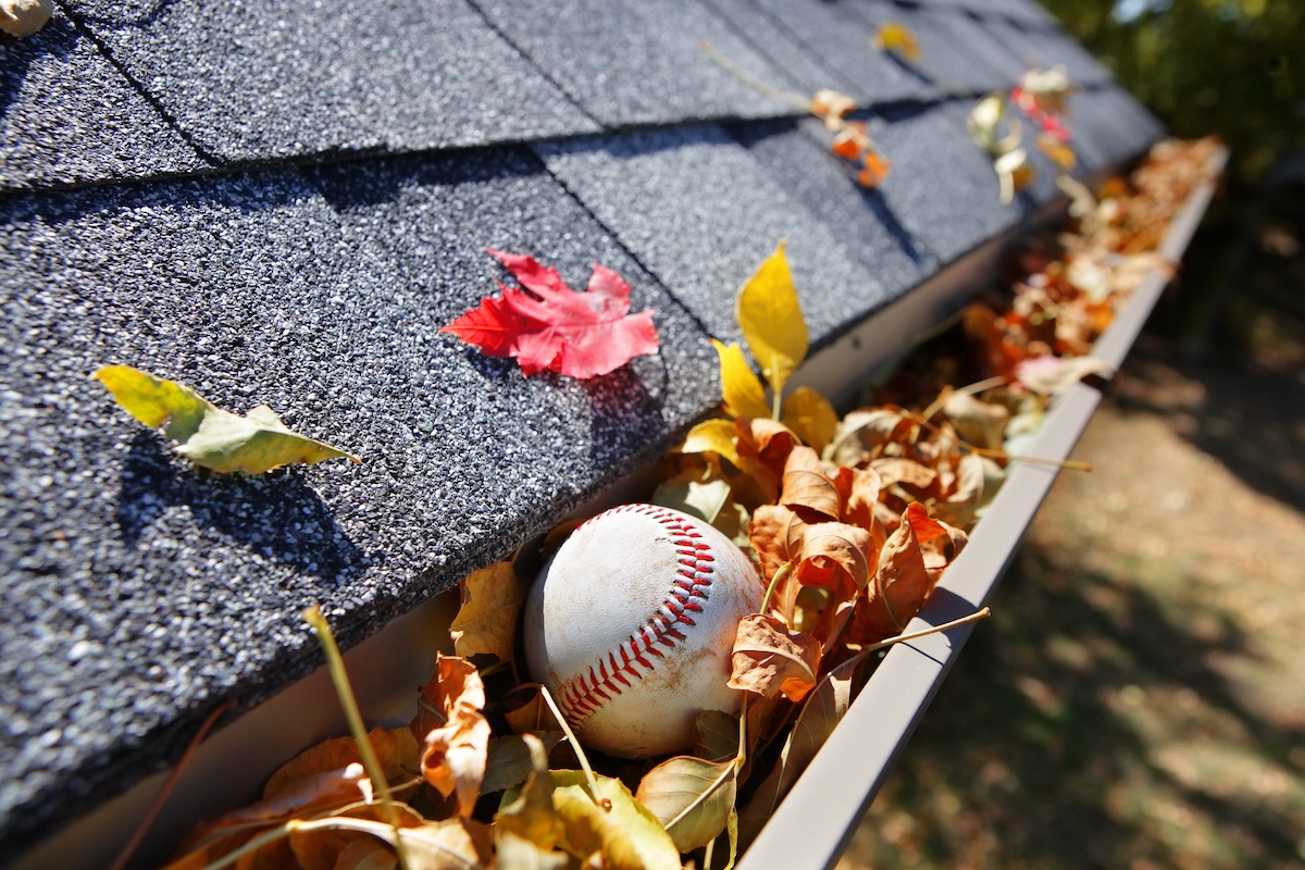 rain gutter full of leaves and debris