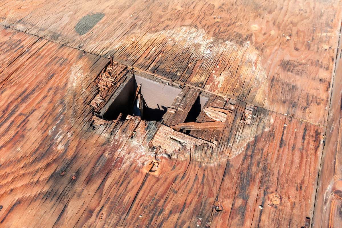 Plywood decking damage and water stains from rain water standing, leaking on roof sheathing near downspout hole. Flat roof inspection, repair and replacement project in progress.