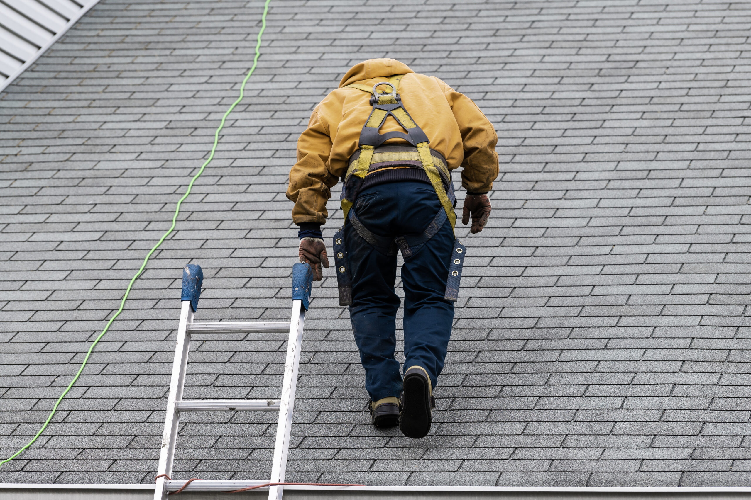 inspecting shingle roof