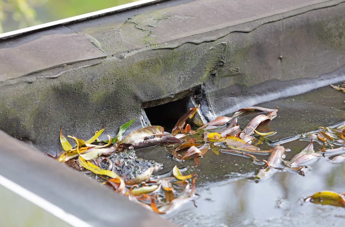 Water drainage on a flat roof, selective focus