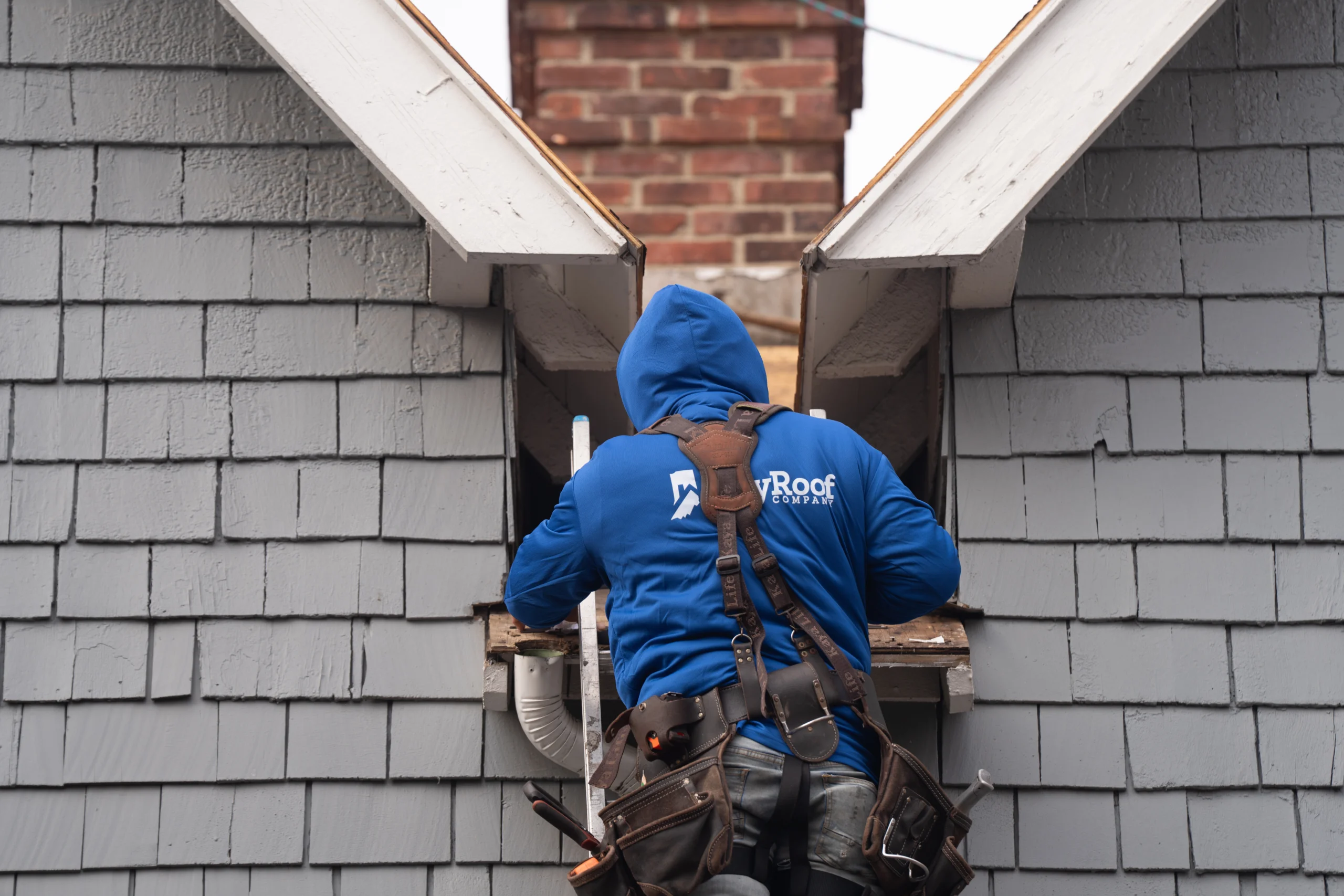 team member in harness
